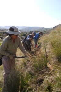 Volunteers work in the Sage Hills - photo provided